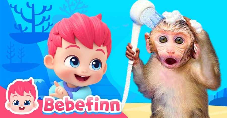 What is the monkey playing?