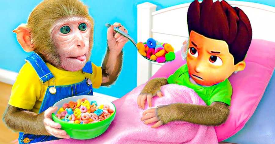 What is the monkey playing?